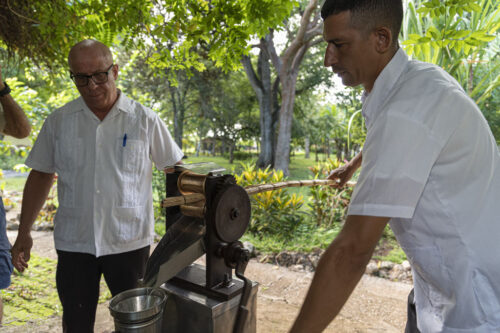 Ciénaga de Zapata