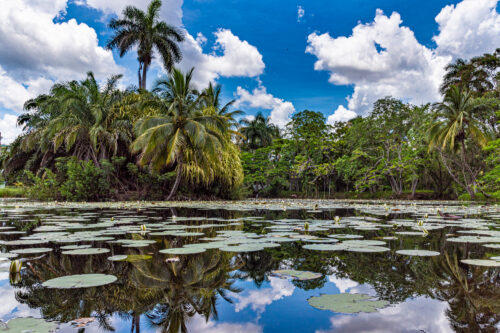 Boca de Guamá, Ciénaga de Zapata