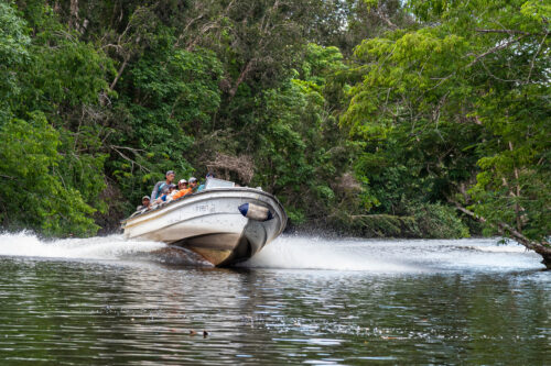 Boca de Guamá, Ciénaga de Zapata