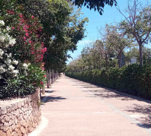 Isla de Mallorca, España