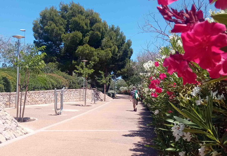 Isla de Mallorca, España