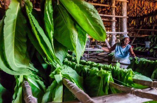Día de la Mujer en Cuba