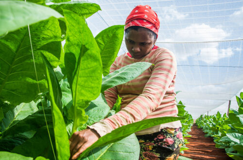 Día de la Mujer en Cuba